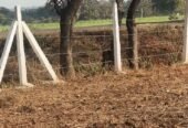 Versatile Land Opportunity – Build Your Dream Project (RR690)