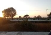 71, suraj vihar colony, ratlam (RR618)