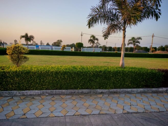 Exclusive Plots for Sale | 800-1500 Sq.ft | Near Ahilya Path (RR734)