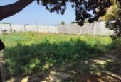 Prime Location Land Available for Rent – 10 Bigha at ₹50K-₹60K (RR738)